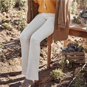 J. Jill Modern Slim Bootcut Jeans Cream Denim Plus Size 20 High Rise NWT